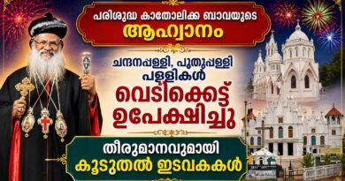 വെടിക്കെട്ട് ഒഴിവാക്കണം ; മലങ്കര സഭാധ്യക്ഷന്റെ ആഹ്വാനം പാലിക്കാൻ കൂടുതൽ ഓർത്തഡോക്സ് ഇടവകകൾ